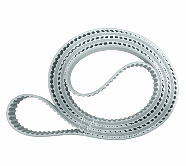 Transportband Ein-und Auslauf für SLE Vetrocraft® (> 2008)