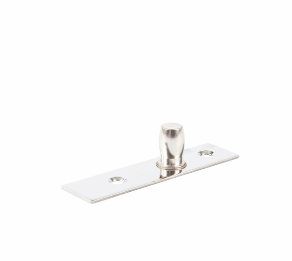 Ceiling pivot PT 24