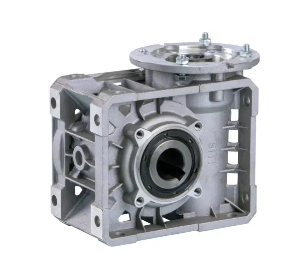Worm gear for mounting on motor SP 87.B0035