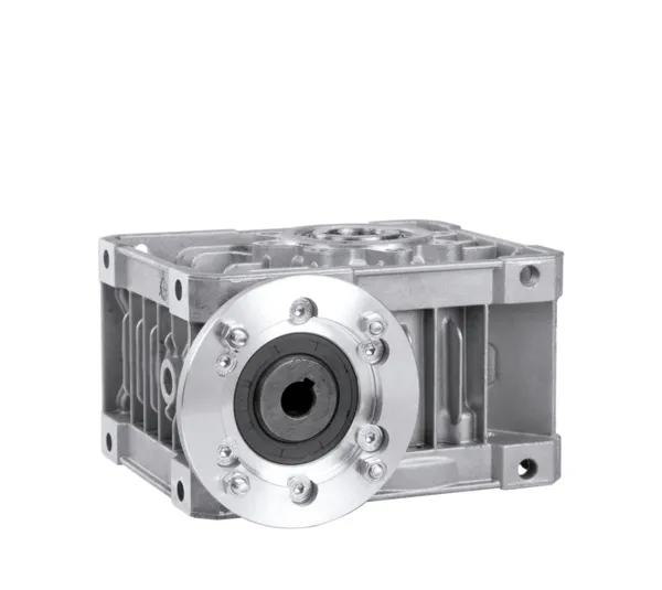Worm gear for mounting on motor SP 87.B0034