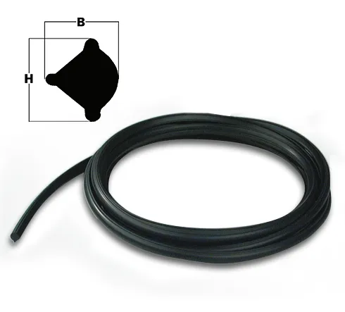 Guarnizione di bloccaggio